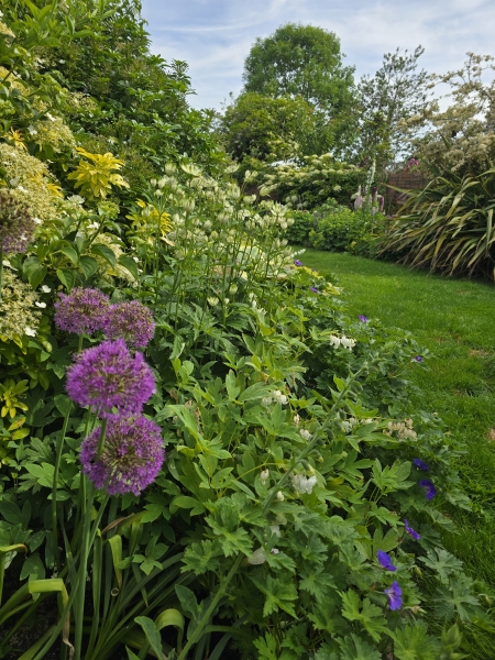 Grove Road Gardens